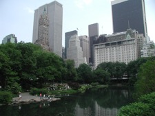 Central Park, NYC