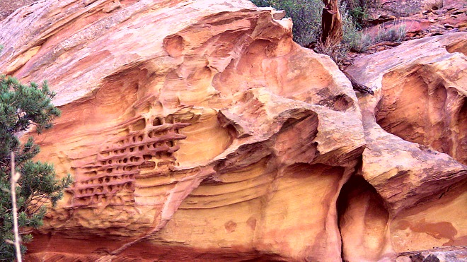 Route 98 passing through Navajo nation