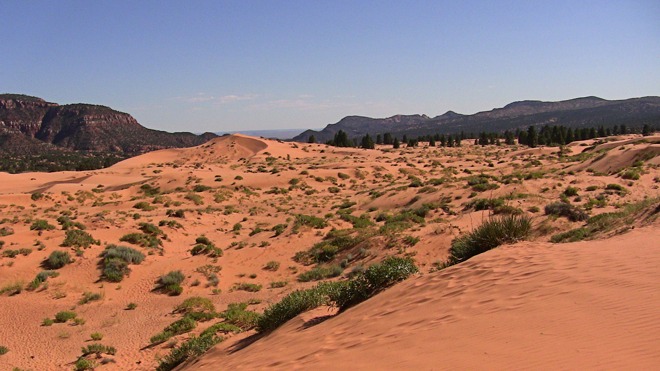 Coral Pink Sand Dunes State Park, Arizona