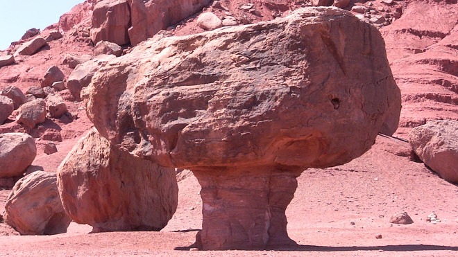 Paria Rimrocks at Lees Ferry, Arizona